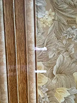 Julia-Elsa online show from November 2, 2025, 3:53 am