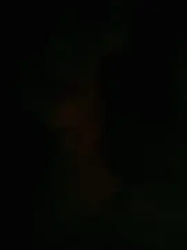 HellaWerlous online show from January 12, 2026, 4:34 pm