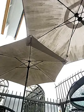 Sallem Pink online show from March 31, 2026, 11:10 am