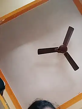 NISHU-TELUGU online show from March 4, 2026, 4:51 am