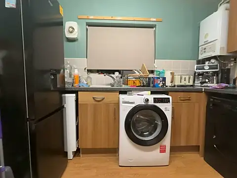 Dilfcam101 online show from February 16, 2026, 10:50 pm