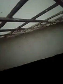 Snapshot of Daisygirl9 chatting on October 22, 2025, 9:36 pm Daisygirl9 online show from October 22, 2025, 9:36 pm