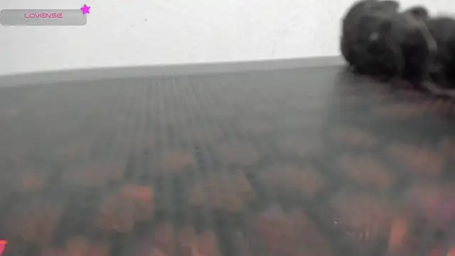 Snapshot of FluffyMelons chatting on April 1, 2026, 11:02 pm FluffyMelons online show from April 1, 2026, 11:02 pm