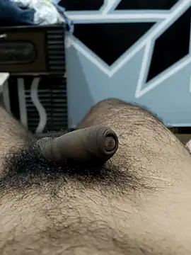 Bull54321 online show from September 10, 2025, 4:23 am