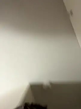 Tu GataLinda online show from September 25, 2025, 10:02 pm