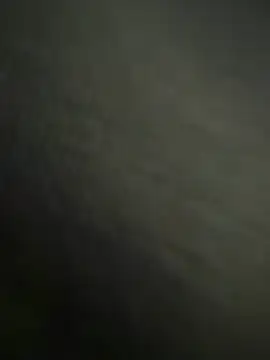 ProvenTobi777 online show from February 17, 2026, 7:05 am