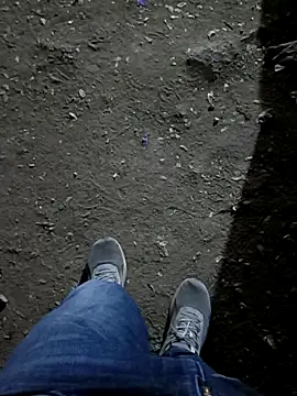 indian pavi online show from February 9, 2026, 5:06 pm