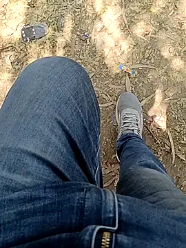 indian pavi online show from March 8, 2026, 7:01 am