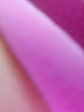 ShineBright88 online show from October 30, 2025, 12:06 pm