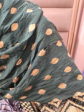 Indian-Aleena online show from February 17, 2026, 5:26 am