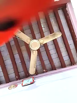 Love-pari077 online show from February 5, 2026, 2:33 pm