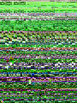 lynn9000 online show from November 20, 2025, 5:18 am