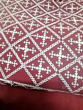 Monika Telugu Girl online show from January 13, 2026, 1:16 pm