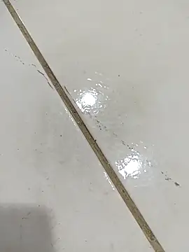 daring lily online show from December 5, 2025, 1:58 am