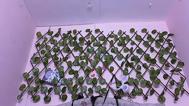 katalinathxandbritney1 online show from September 24, 2025, 5:05 pm