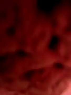 Gusttavotesudoxxvvc online show from September 18, 2025, 7:16 pm