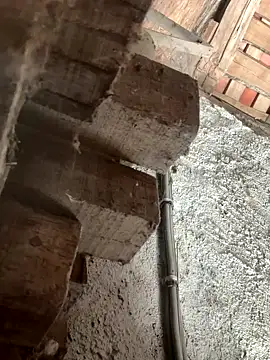 fcach2244 online show from September 9, 2025, 8:25 am