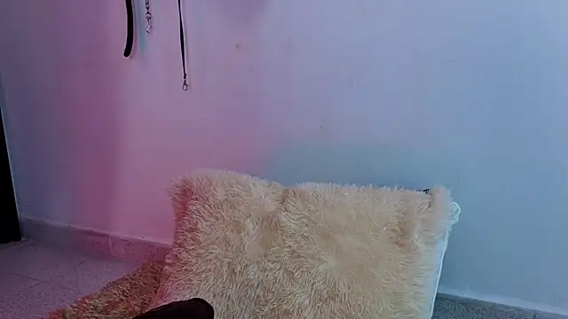 Issafoxx online show from April 13, 2026, 12:10 pm