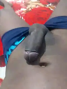 gatooo preto online show from January 16, 2026, 5:28 pm