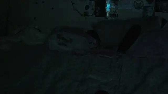 FairyFennec online show from October 8, 2025, 1:58 am