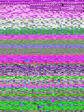 pnwzo online show from October 3, 2025, 8:28 pm