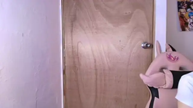 Snapshot of Terraelowen chatting on February 19, 2026, 11:28 am Terraelowen online show from February 19, 2026, 11:28 am