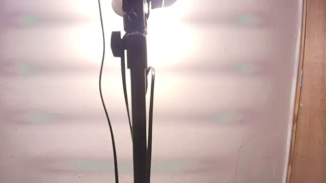 Snapshot of Terraelowen chatting on February 25, 2026, 11:31 am Terraelowen online show from February 25, 2026, 11:31 am