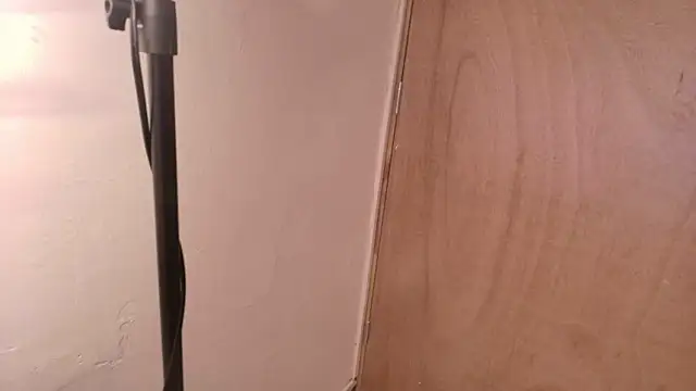 Terraelowen online show from March 15, 2026, 11:16 am