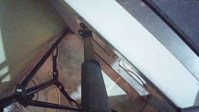 Terraelowen online show from March 24, 2026, 1:05 pm