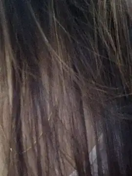 DPK25 online show from December 21, 2025, 11:06 am