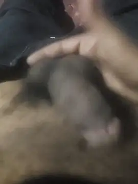 Snapshot of gujjumunda49 chatting on November 25, 2025, 3:34 pm gujjumunda49 online show from November 25, 2025, 3:34 pm