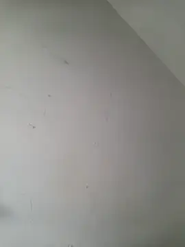 iamlalamilano online show from March 29, 2026, 3:01 pm