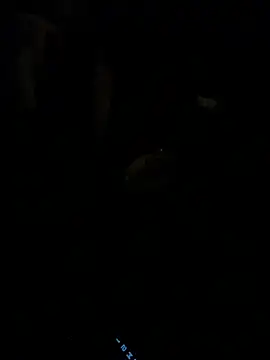 Snapshot of HorneyCowboy154 chatting on February 25, 2026, 4:11 am HorneyCowboy154 online show from February 25, 2026, 4:11 am