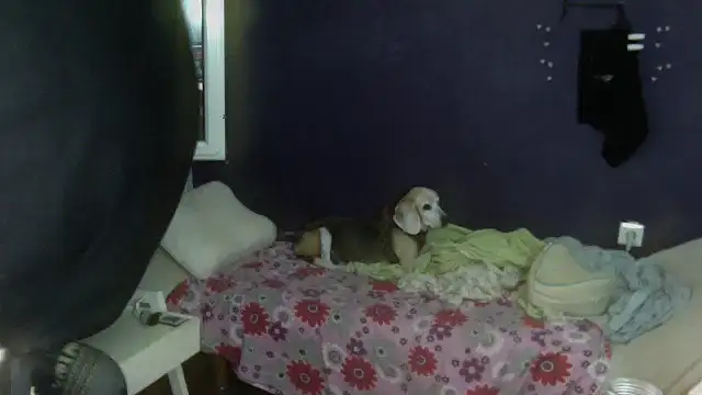 turkishTransEfsun online show from September 13, 2025, 1:11 pm