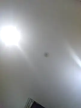 Natural Asian Girl online show from September 23, 2025, 10:40 am