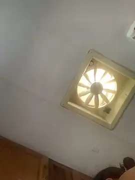 shakeweight online show from October 9, 2025, 4:05 pm