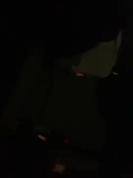 shakeweight online show from October 18, 2025, 7:42 am