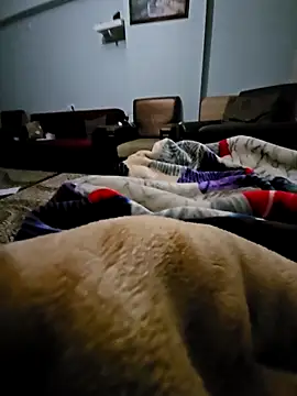 Snapshot of fena-sikerimmm chatting on February 21, 2026, 2:45 am fena-sikerimmm online show from February 21, 2026, 2:45 am