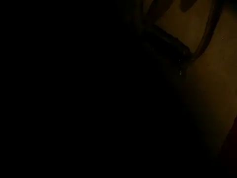 Snapshot of PIGBABY-LOVE chatting on October 11, 2025, 7:01 pm PIGBABY-LOVE online show from October 11, 2025, 7:01 pm