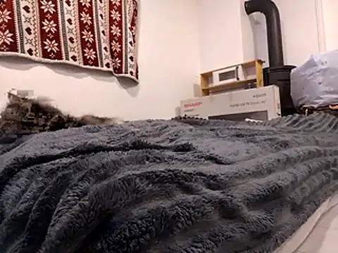 HoneySquirrel online show from October 10, 2025, 5:23 pm