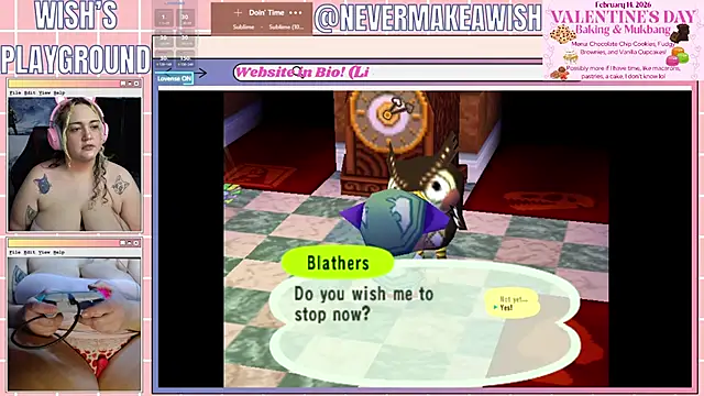 Snapshot of nevermakeawish chatting on January 31, 2026, 7:11 pm nevermakeawish online show from January 31, 2026, 7:11 pm