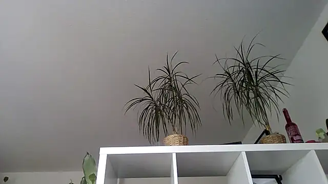 Snapshot of bigcockjohnxxxxx chatting on November 13, 2025, 11:20 am bigcockjohnxxxxx online show from November 13, 2025, 11:20 am