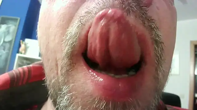 circus bearxh online show from November 23, 2025, 6:46 am