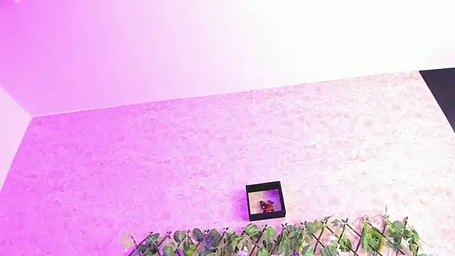 ImEmily444 online show from October 4, 2025, 7:50 am