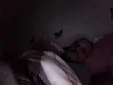 Hisnimin online show from February 18, 2026, 3:57 am