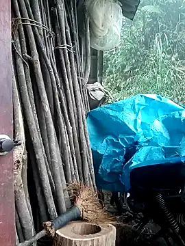 Snapshot of Ruaiuoi chatting on March 8, 2026, 12:41 am Ruaiuoi online show from March 8, 2026, 12:41 am