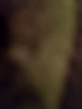 lucho2328 online show from September 17, 2025, 4:52 pm