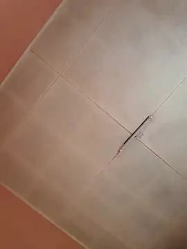 Karamelsaus online show from October 7, 2025, 5:54 pm