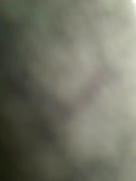 Lizbeth Rouse online show from December 21, 2025, 11:50 am