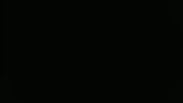 ParisAndVi online show from November 11, 2025, 3:45 pm